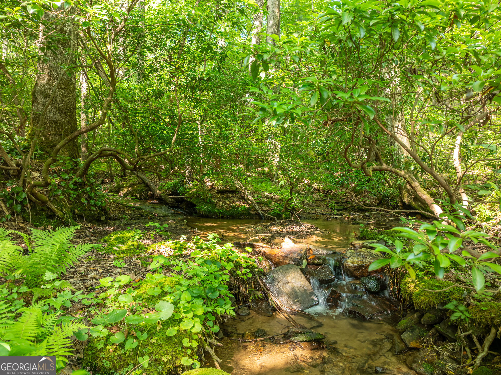 1298 Cold Stream Trail Jasper GA 30143