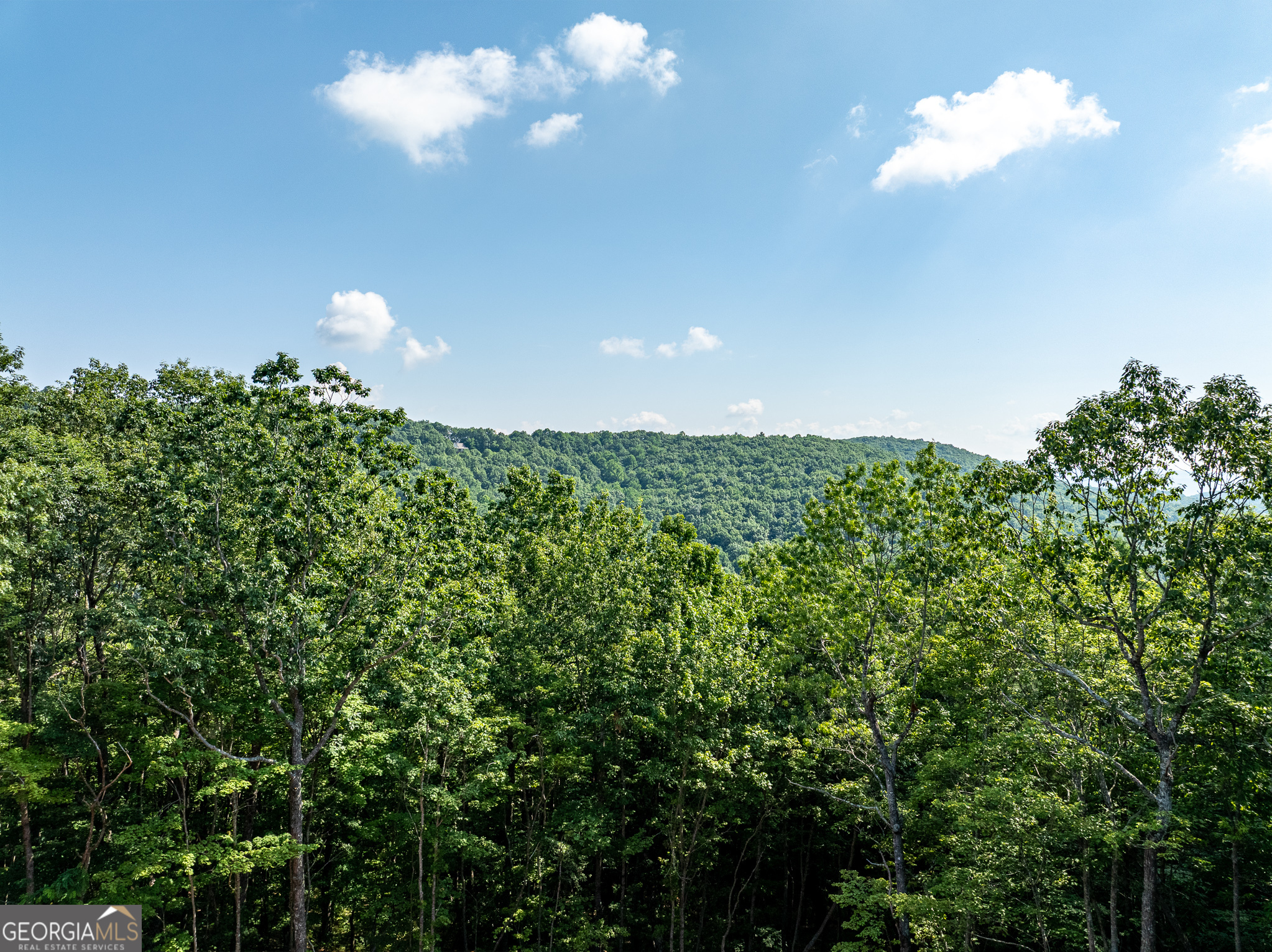 1298 Cold Stream Trail Jasper GA 30143