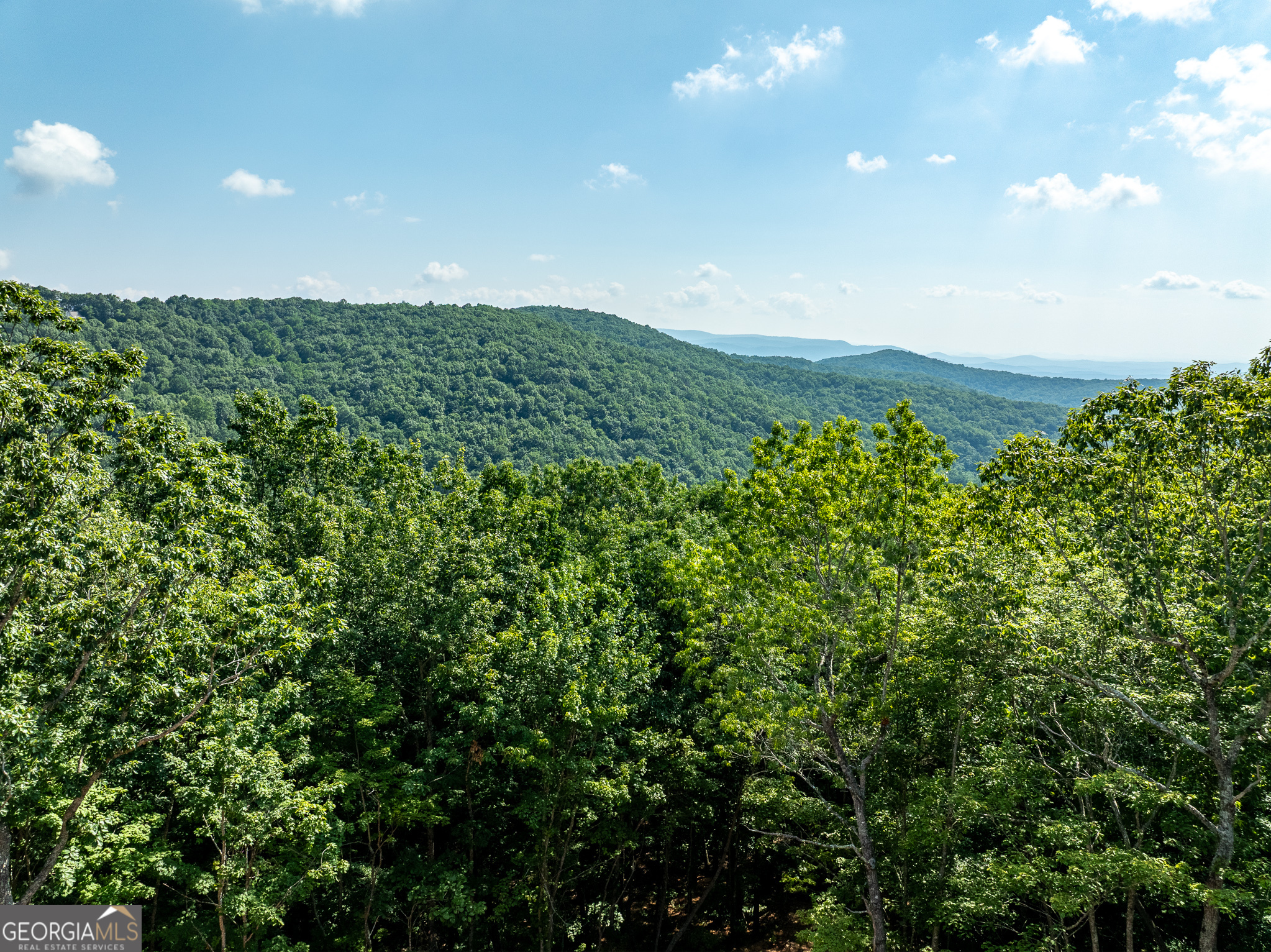 1298 Cold Stream Trail Jasper GA 30143