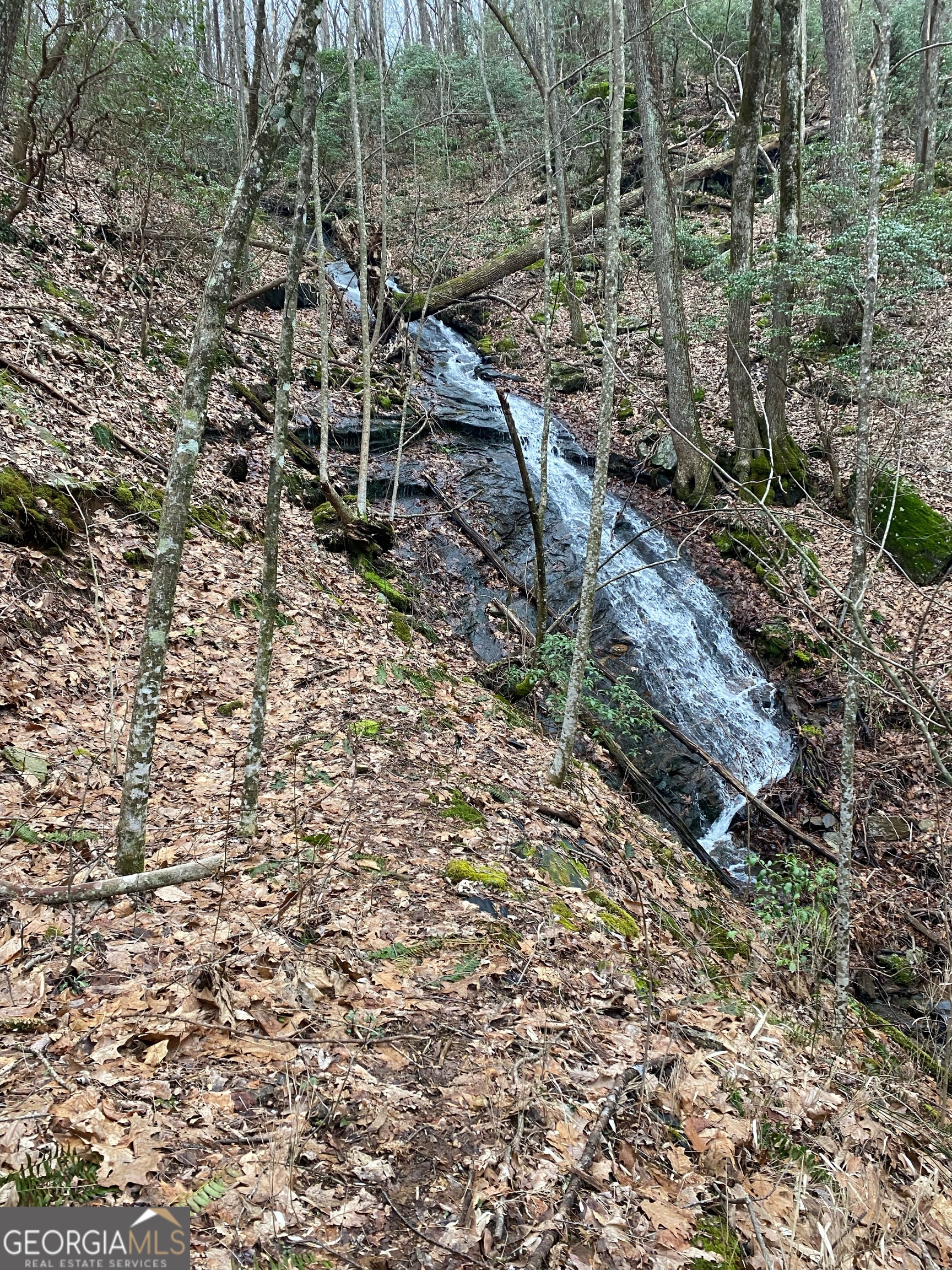 1298 Cold Stream Trail Jasper GA 30143
