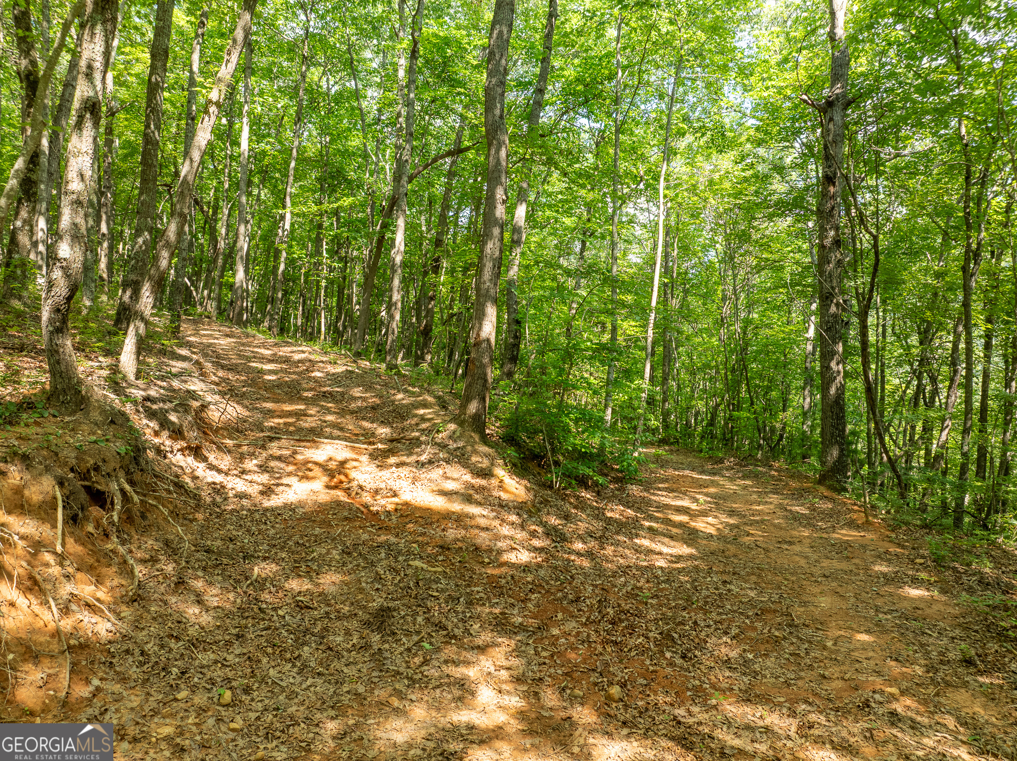 1298 Cold Stream Trail Jasper GA 30143
