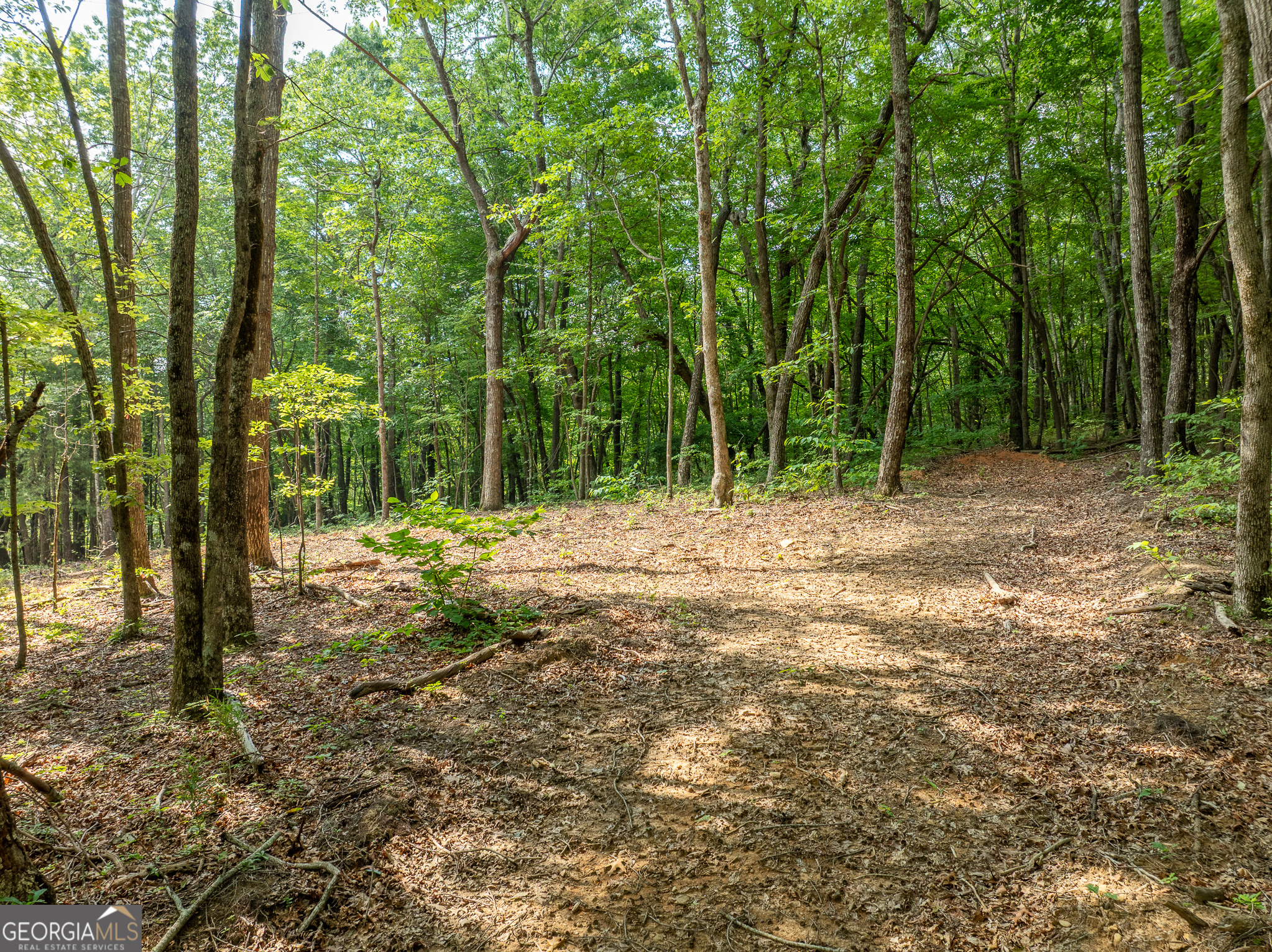 1298 Cold Stream Trail Jasper GA 30143
