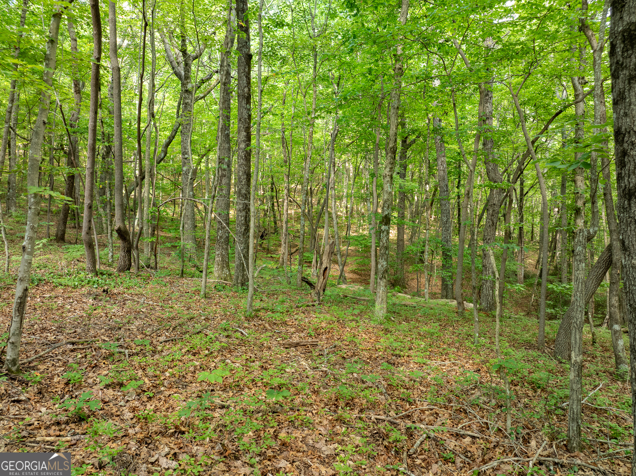 1298 Cold Stream Trail Jasper GA 30143