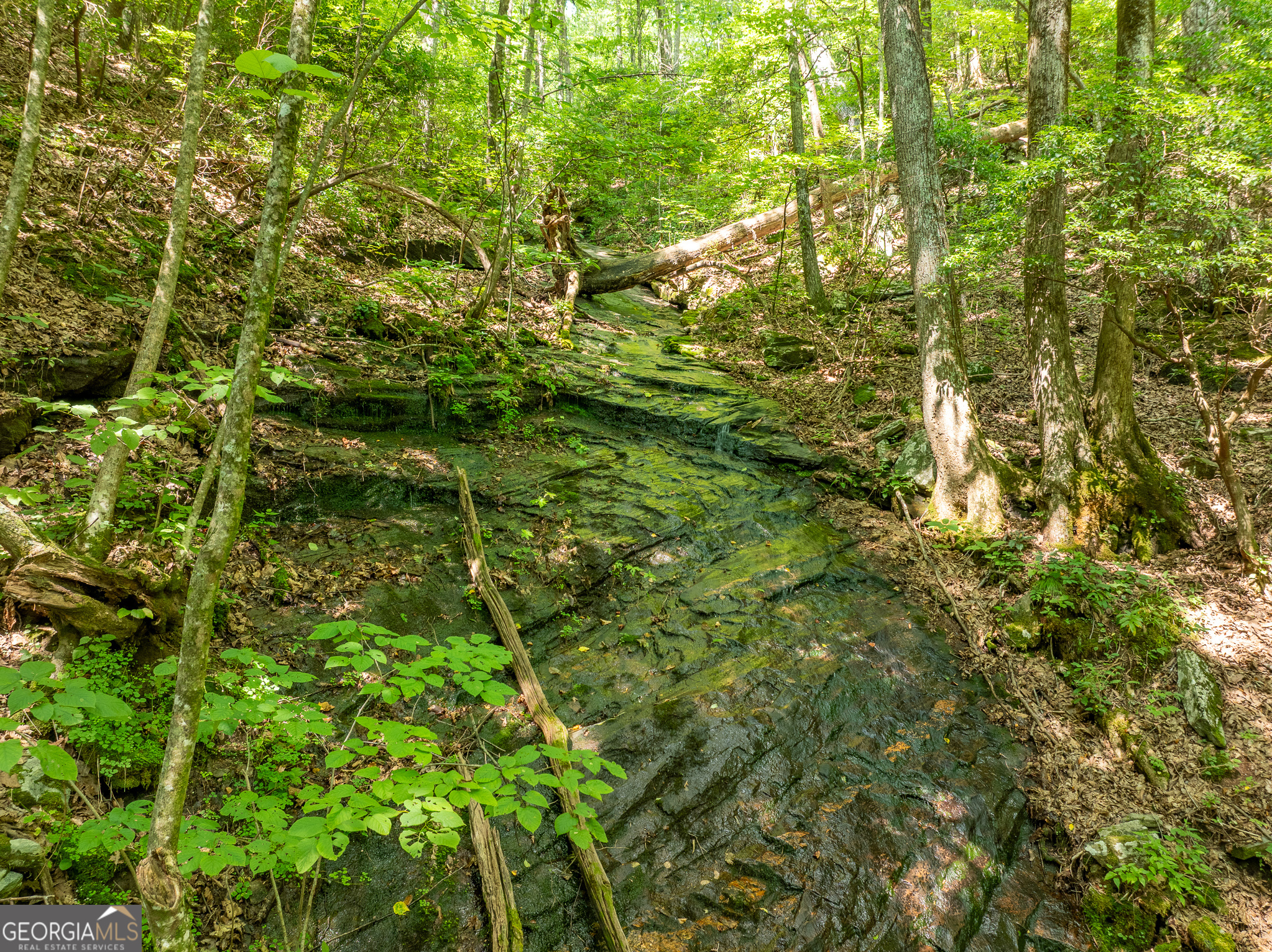 1298 Cold Stream Trail Jasper GA 30143