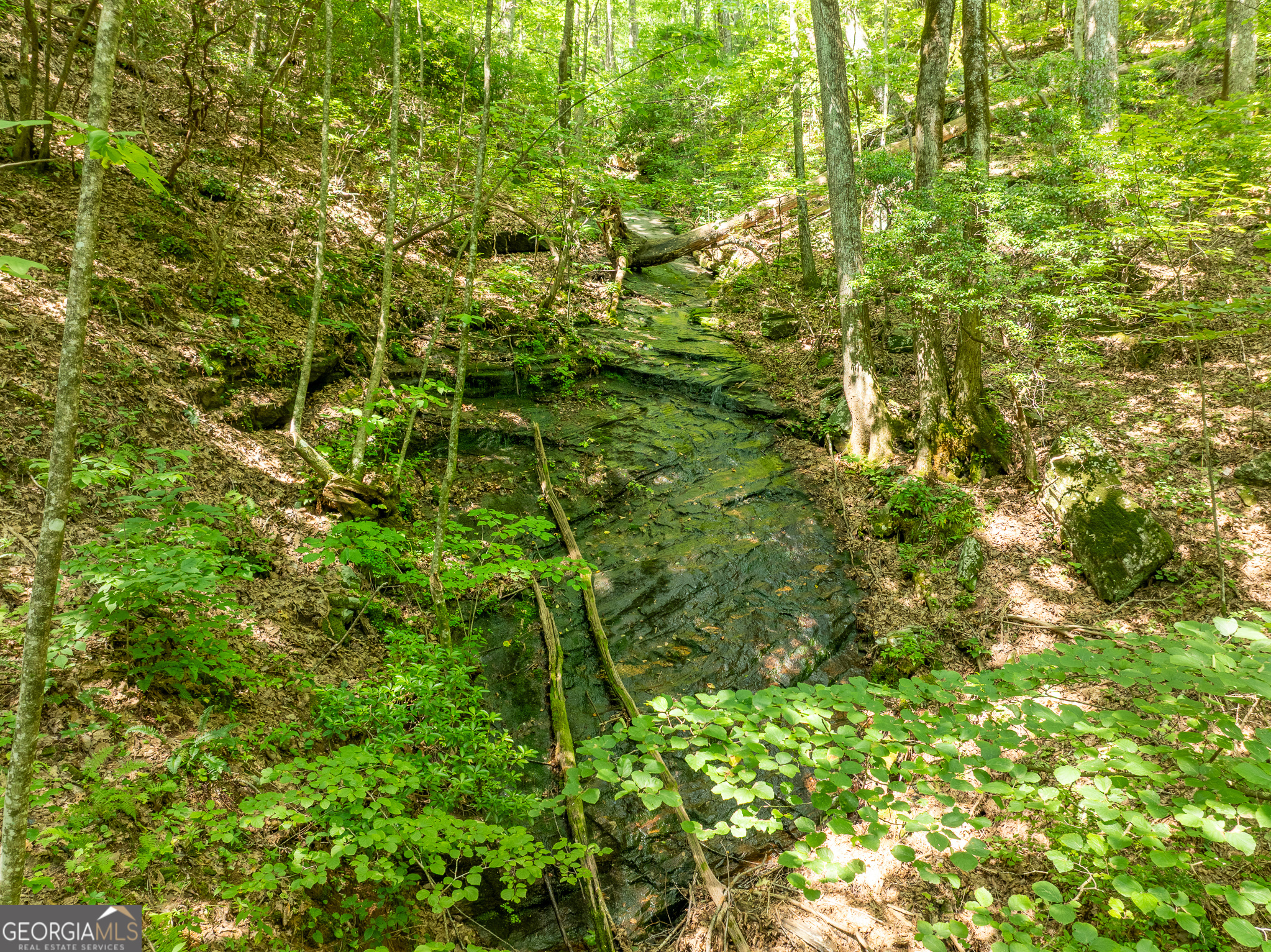 1298 Cold Stream Trail Jasper GA 30143