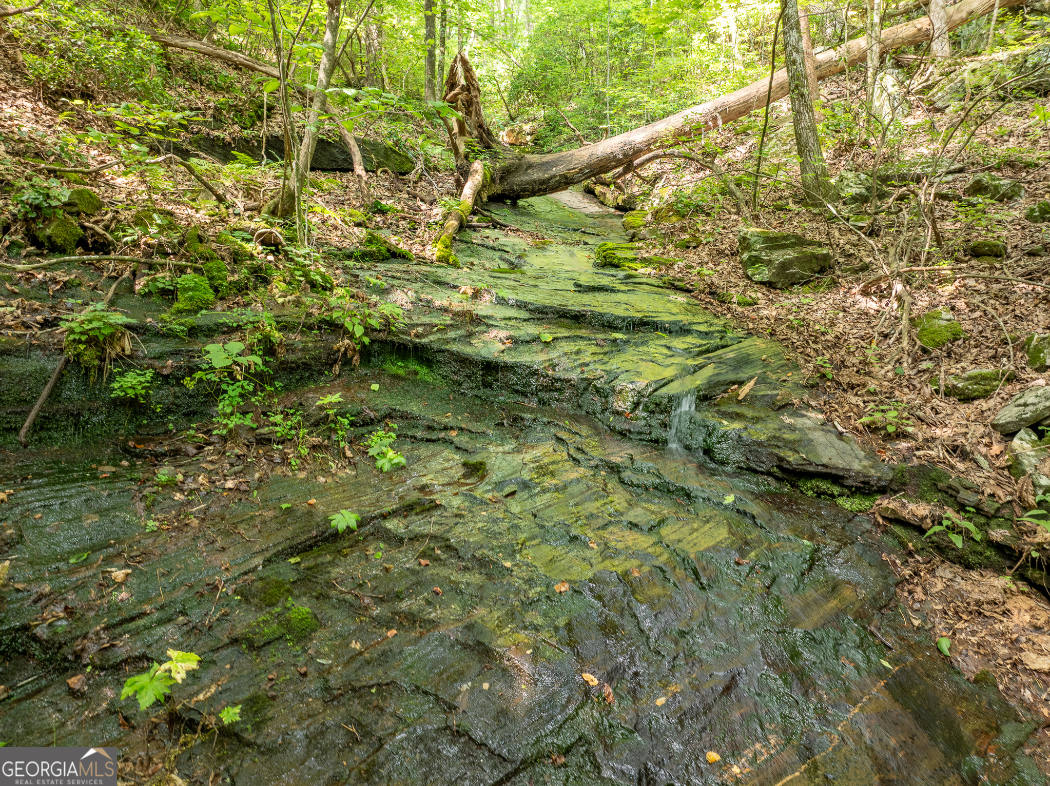 1298 Cold Stream Trail Jasper GA 30143