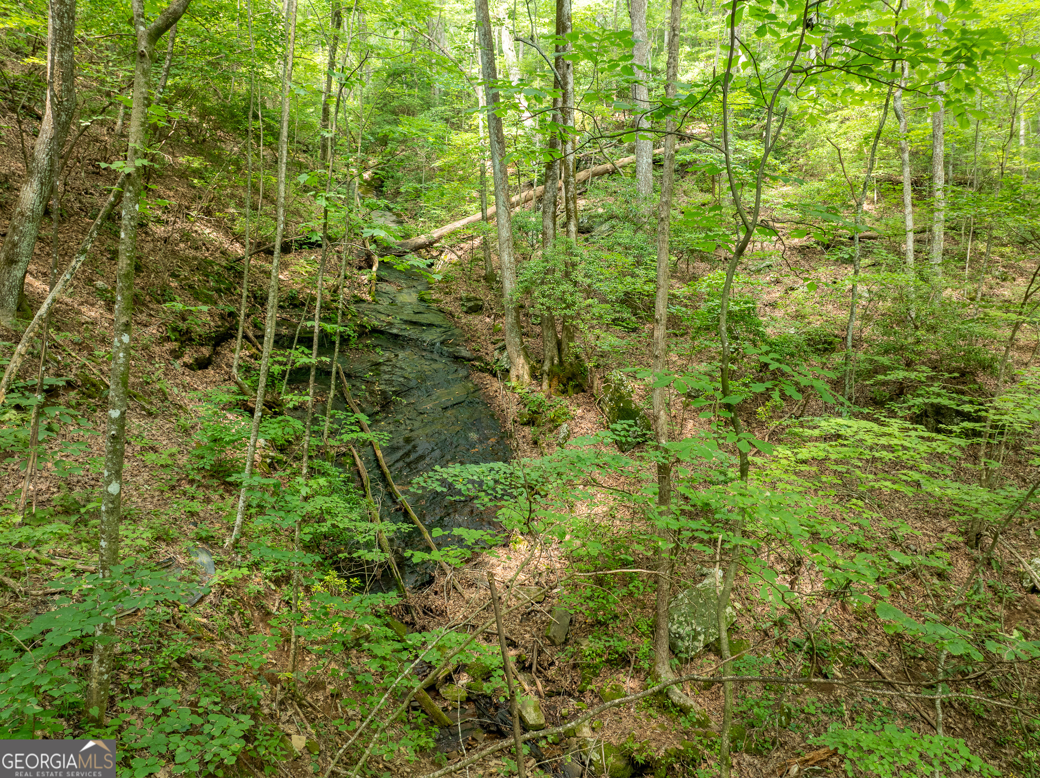1298 Cold Stream Trail Jasper GA 30143