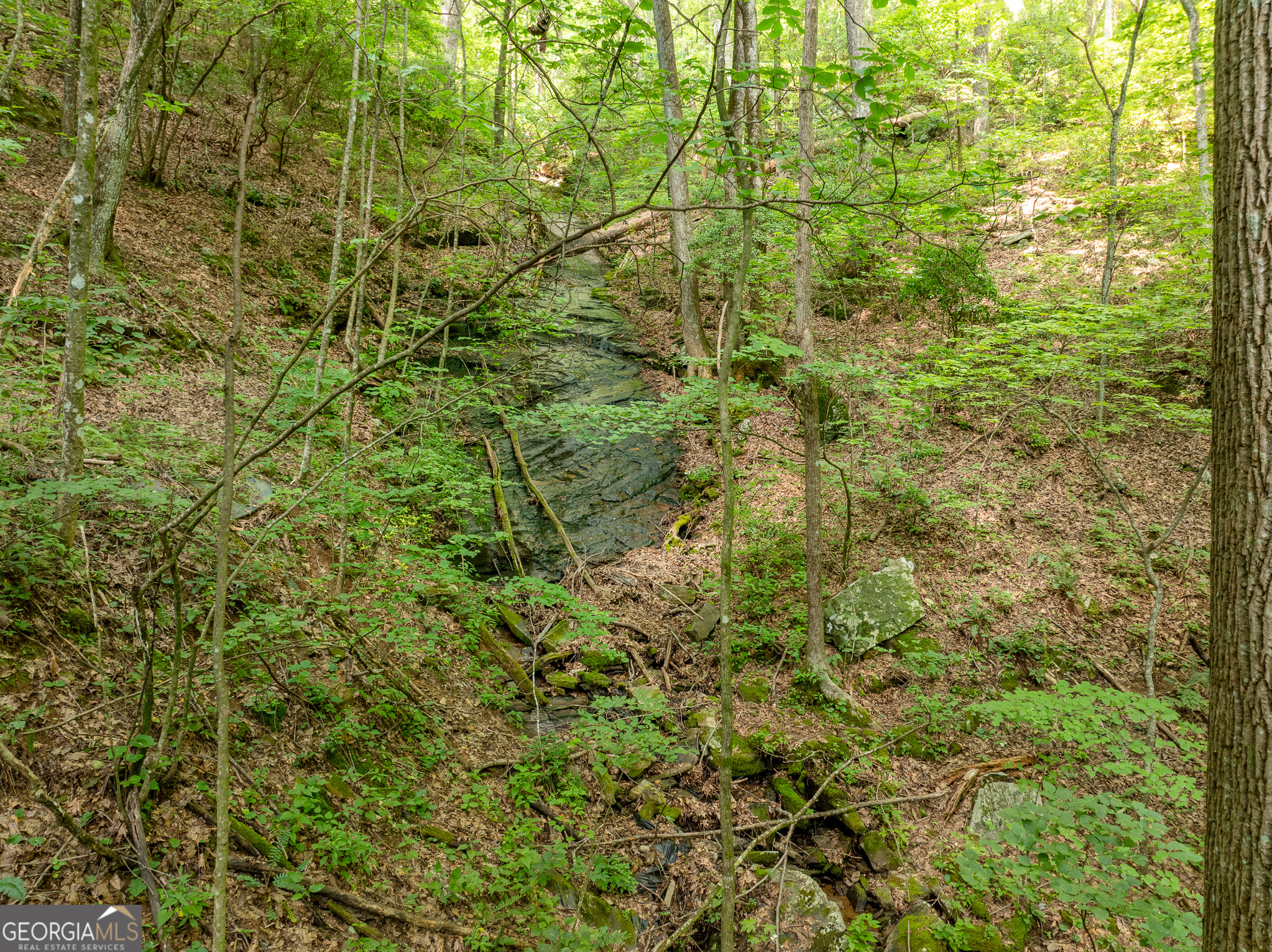 1298 Cold Stream Trail Jasper GA 30143