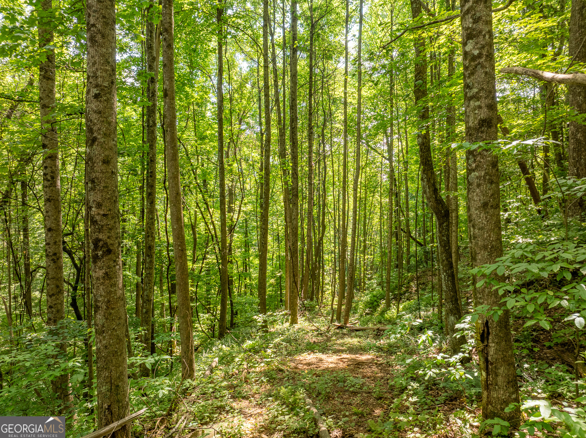 1298 Cold Stream Trail Jasper GA 30143