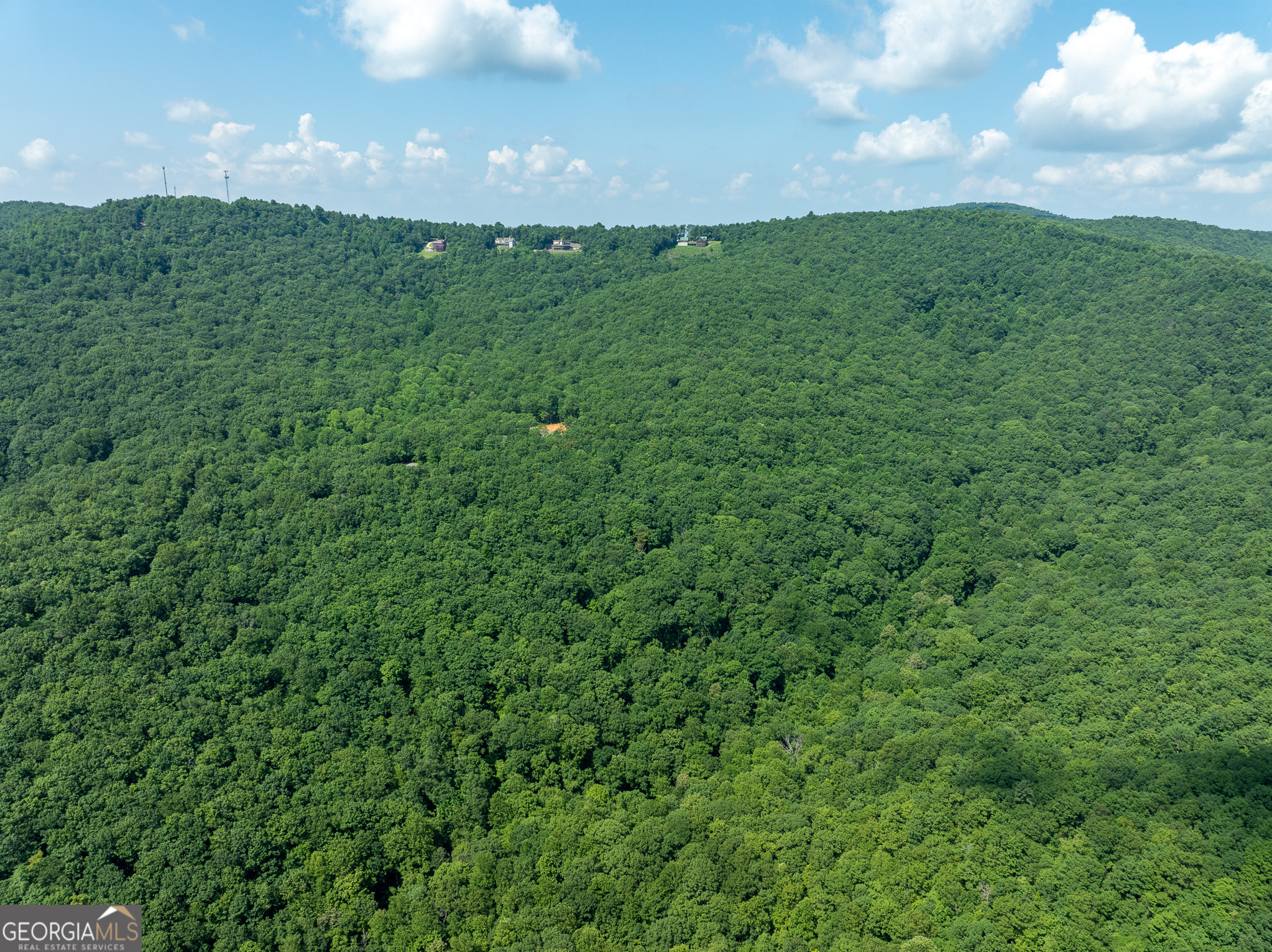 1298 Cold Stream Trail Jasper GA 30143