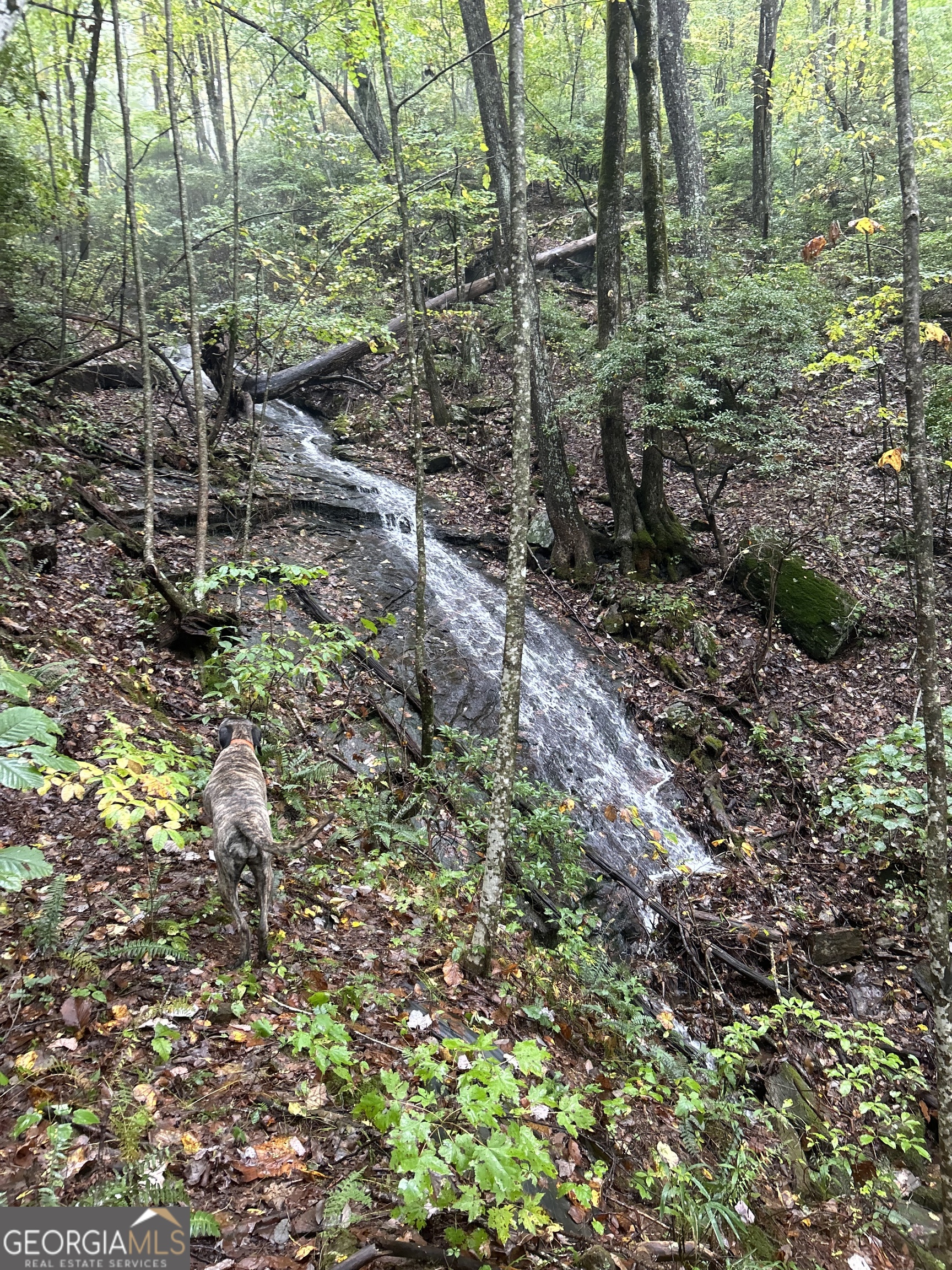 1298 Cold Stream Trail Jasper GA 30143