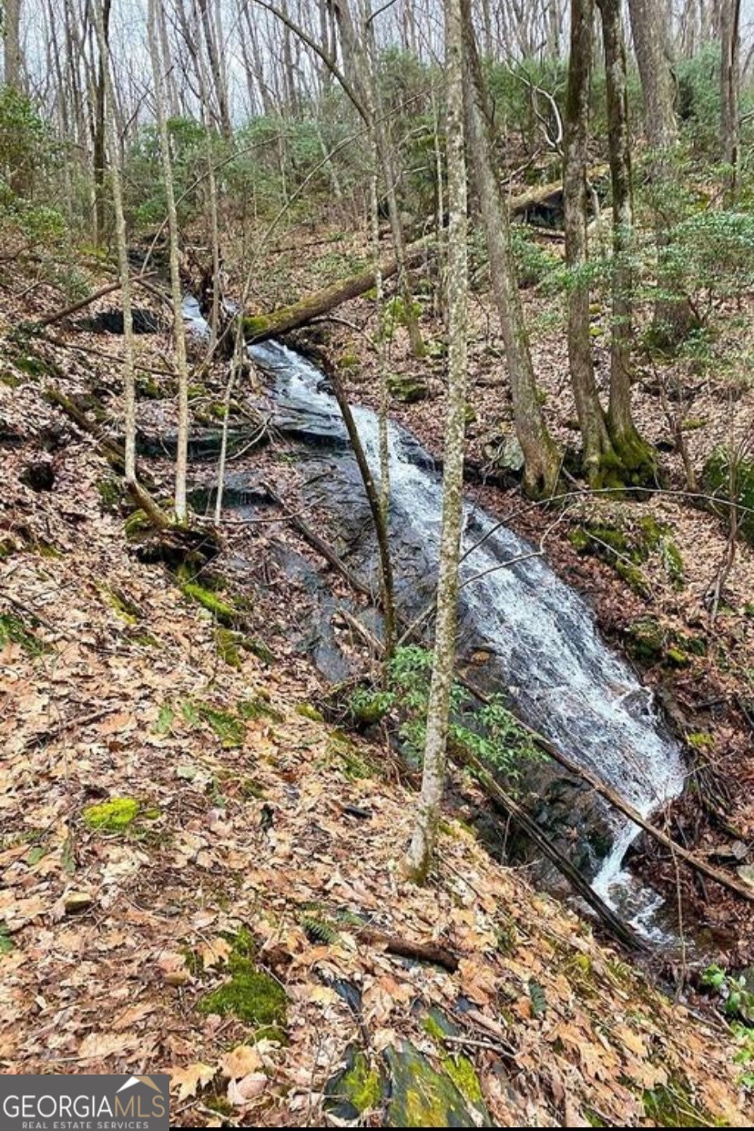 1298 Cold Stream Trail Jasper GA 30143