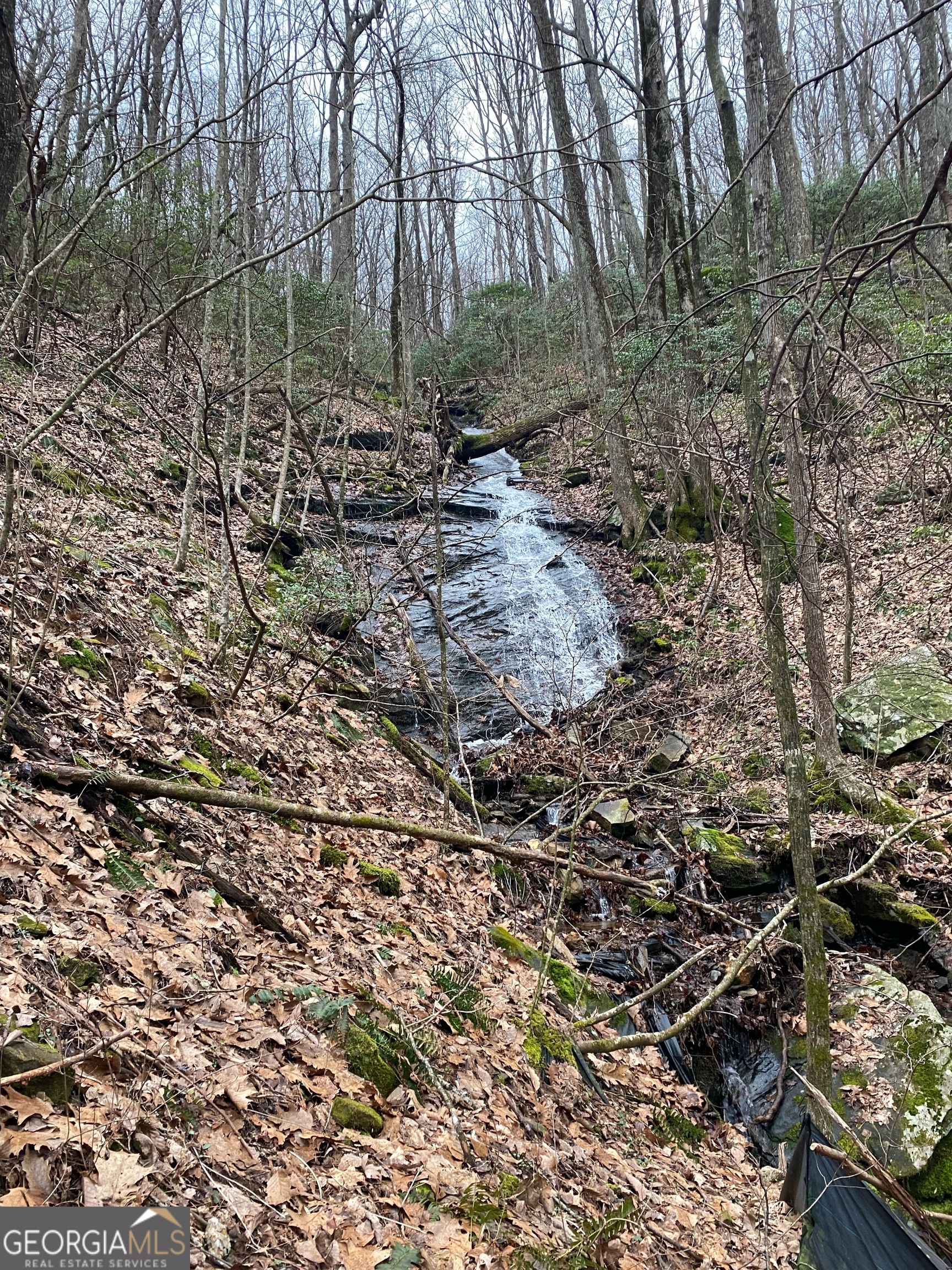 1298 Cold Stream Trail Jasper GA 30143