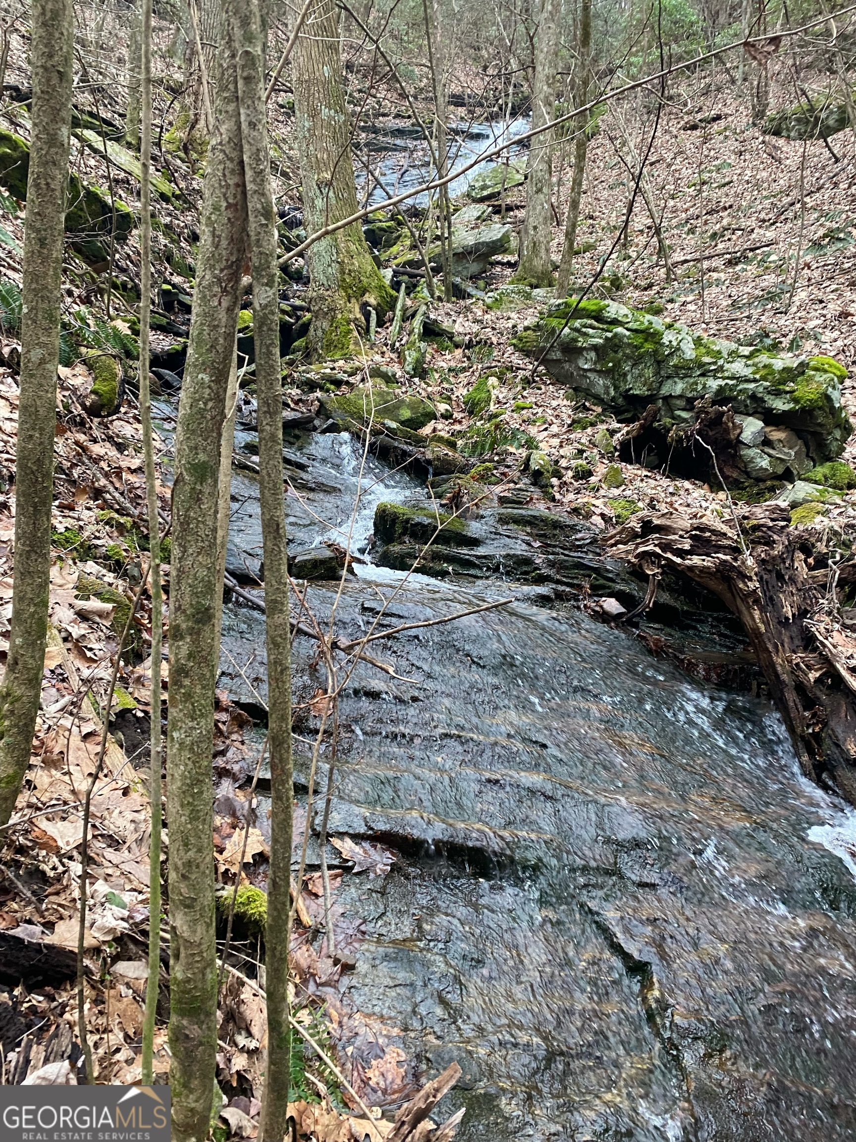1298 Cold Stream Trail Jasper GA 30143
