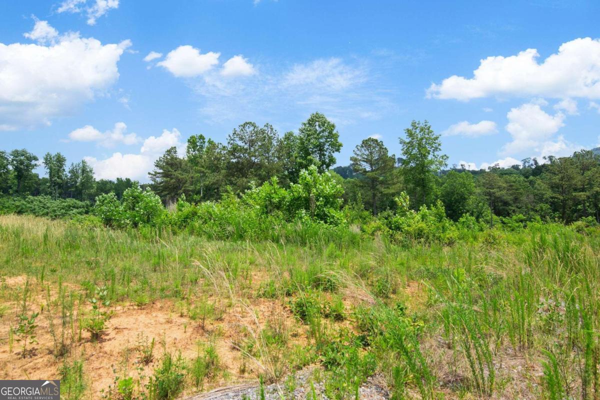 Lot 196 Oak Park Drive Talking Rock GA 30175