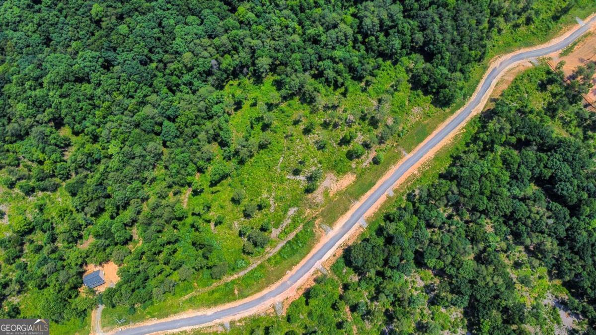 Lot 196 Oak Park Drive Talking Rock GA 30175