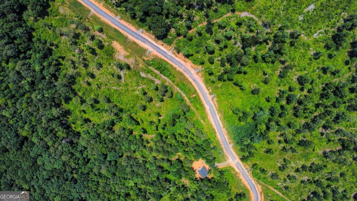 Lot 196 Oak Park Drive Talking Rock GA 30175