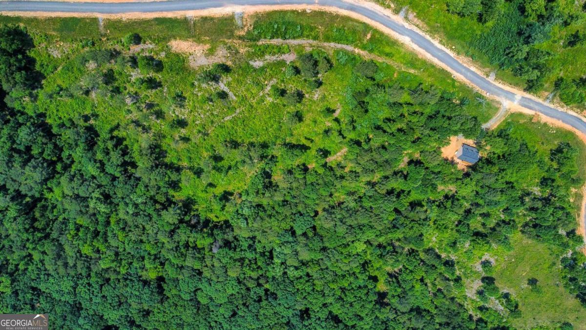 Lot 196 Oak Park Drive Talking Rock GA 30175