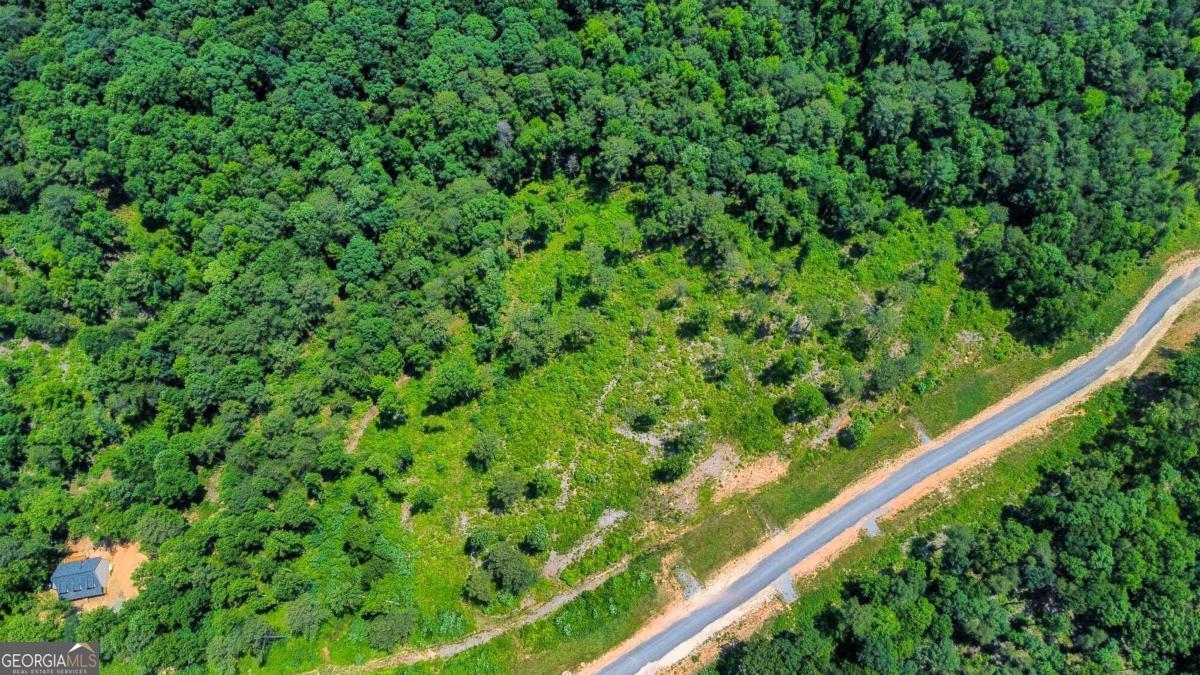 Lot 196 Oak Park Drive Talking Rock GA 30175