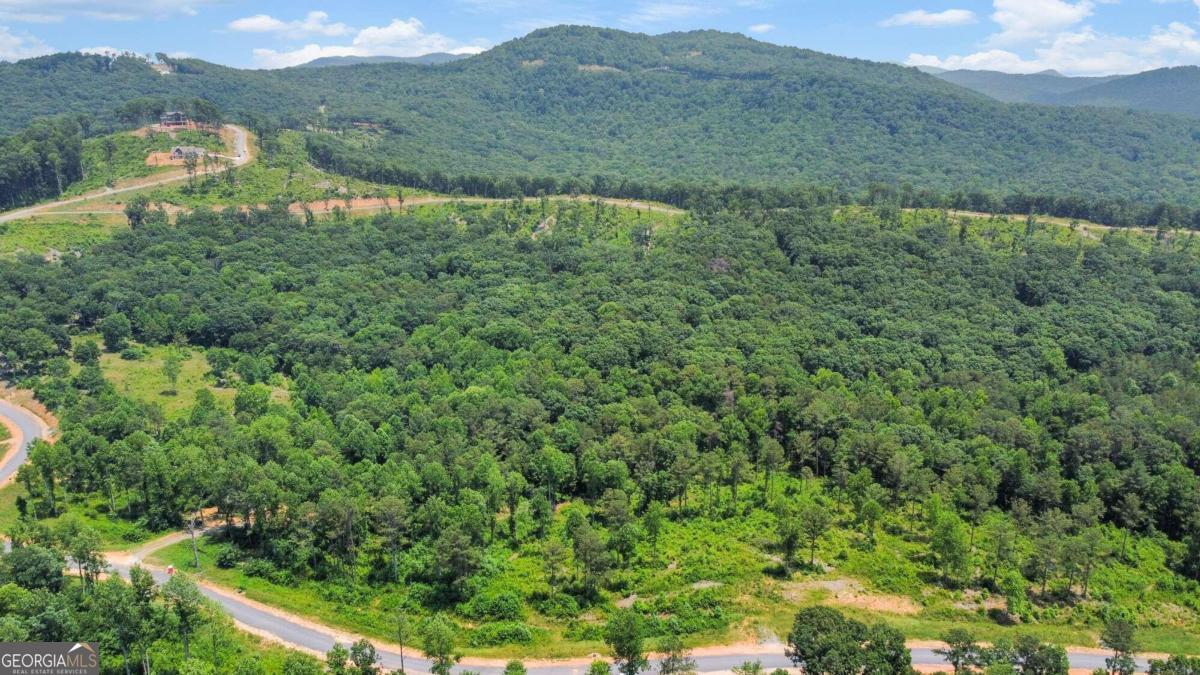 Lot 196 Oak Park Drive Talking Rock GA 30175