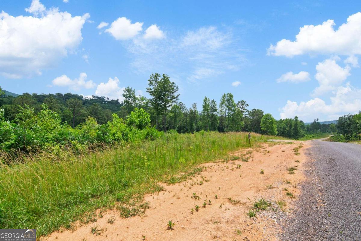 Lot 196 Oak Park Drive Talking Rock GA 30175