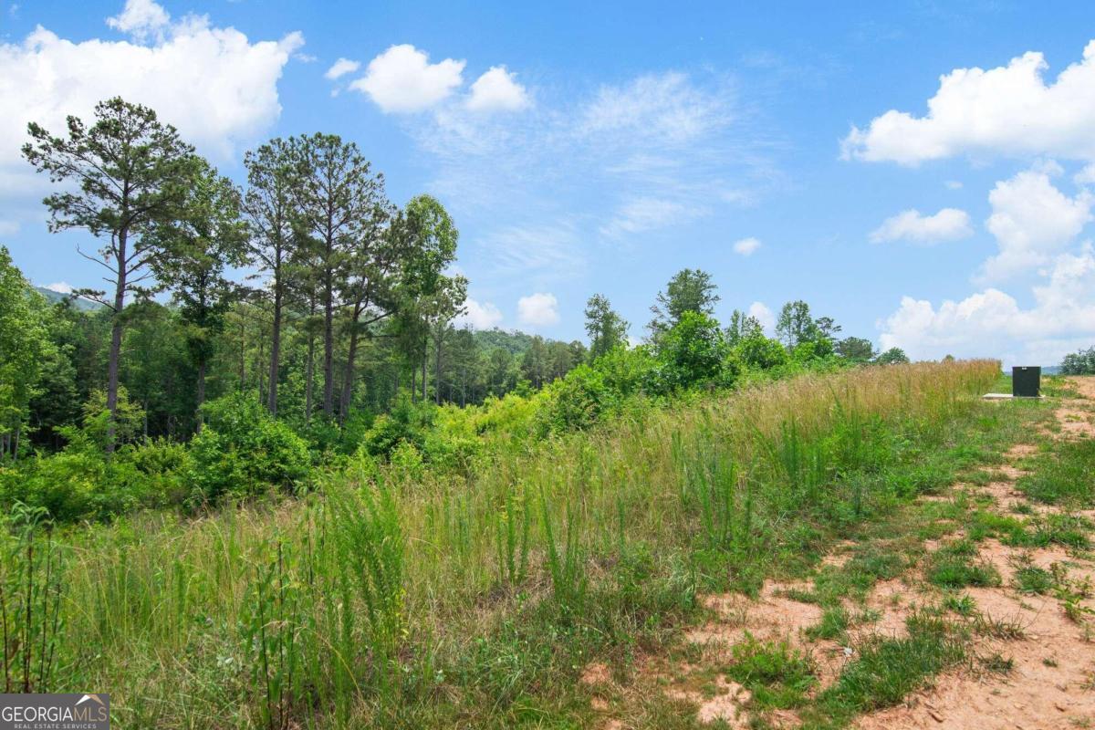 Lot 196 Oak Park Drive Talking Rock GA 30175