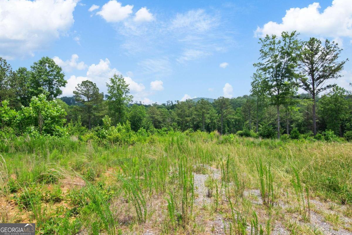 Lot 196 Oak Park Drive Talking Rock GA 30175