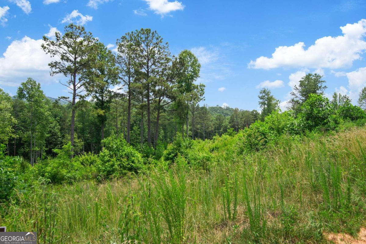Lot 196 Oak Park Drive Talking Rock GA 30175