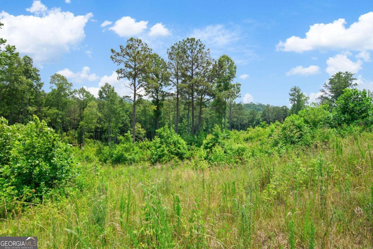 Lot 196 Oak Park Drive Talking Rock GA 30175