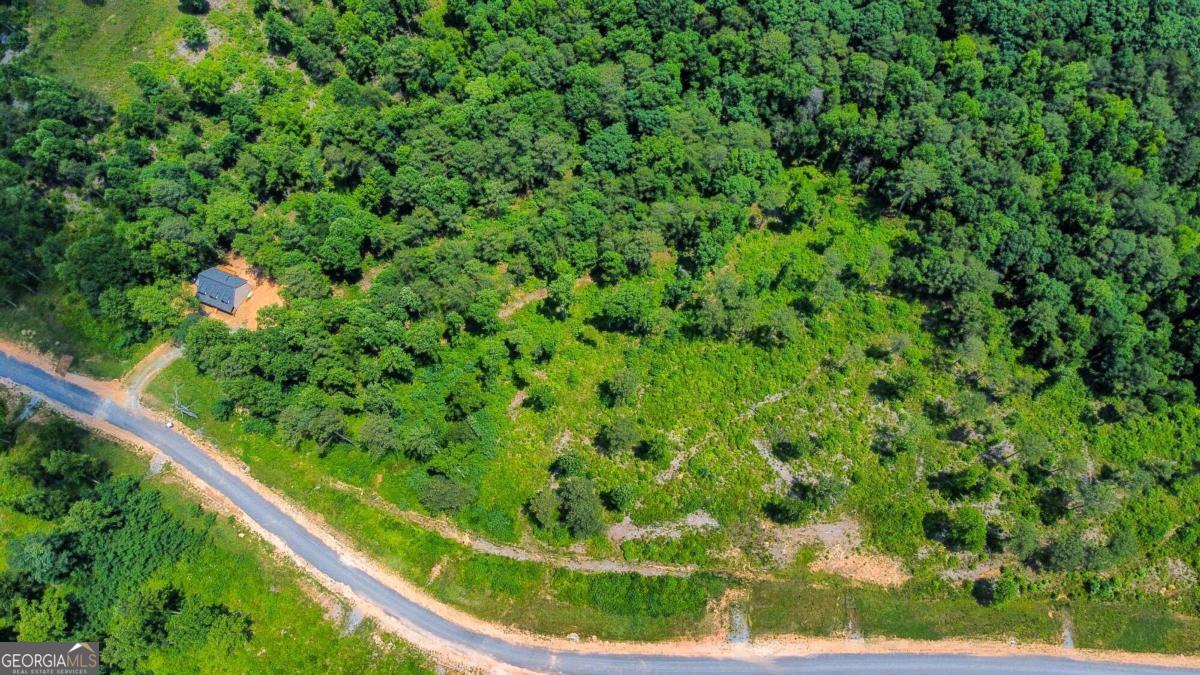 Lot 196 Oak Park Drive Talking Rock GA 30175