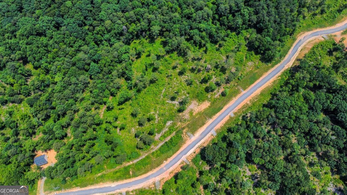 Lot 196 Oak Park Drive Talking Rock GA 30175