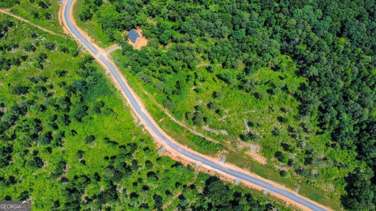 Lot 196 Oak Park Drive Talking Rock GA 30175