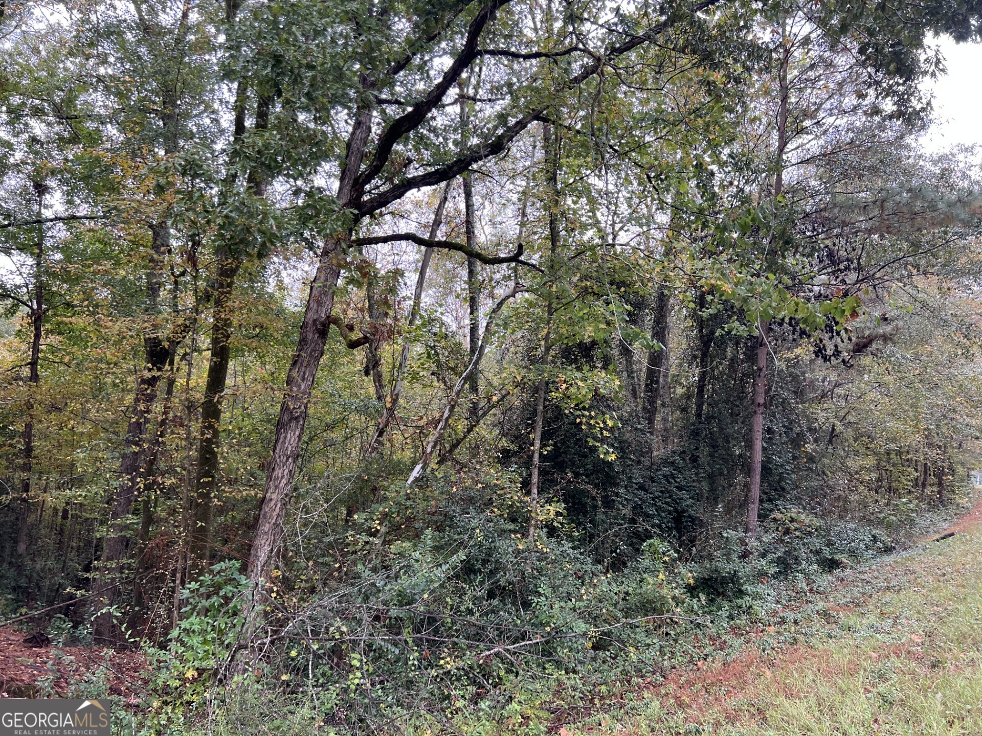 140 Lite N Tie Road Gray GA 31032