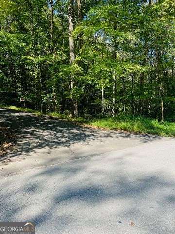 220 Maxwell Mountain Road Blue Ridge GA 30513