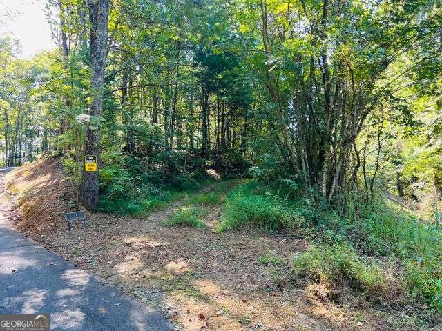 220 Maxwell Mountain Road Blue Ridge GA 30513