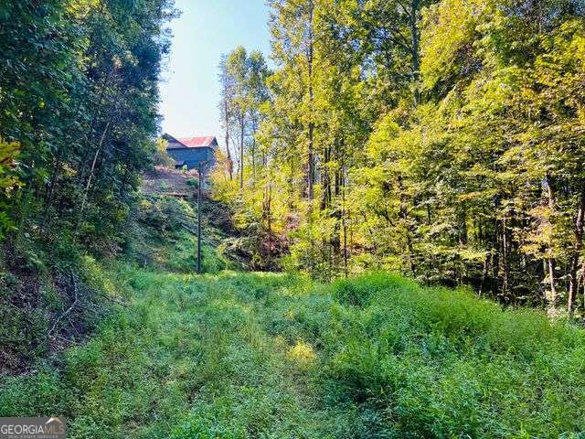 220 Maxwell Mountain Road Blue Ridge GA 30513