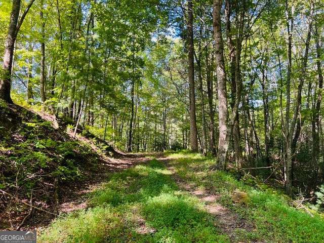 220 Maxwell Mountain Road Blue Ridge GA 30513