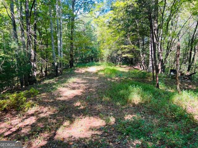 220 Maxwell Mountain Road Blue Ridge GA 30513