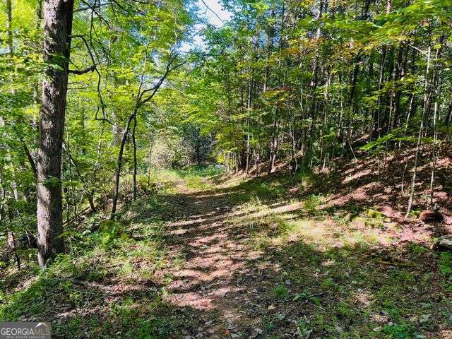 220 Maxwell Mountain Road Blue Ridge GA 30513