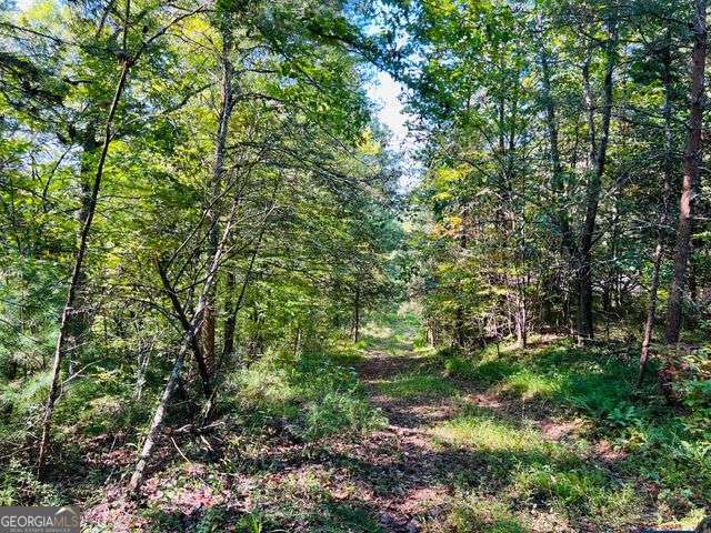 220 Maxwell Mountain Road Blue Ridge GA 30513