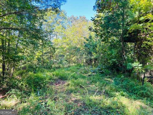 220 Maxwell Mountain Road Blue Ridge GA 30513