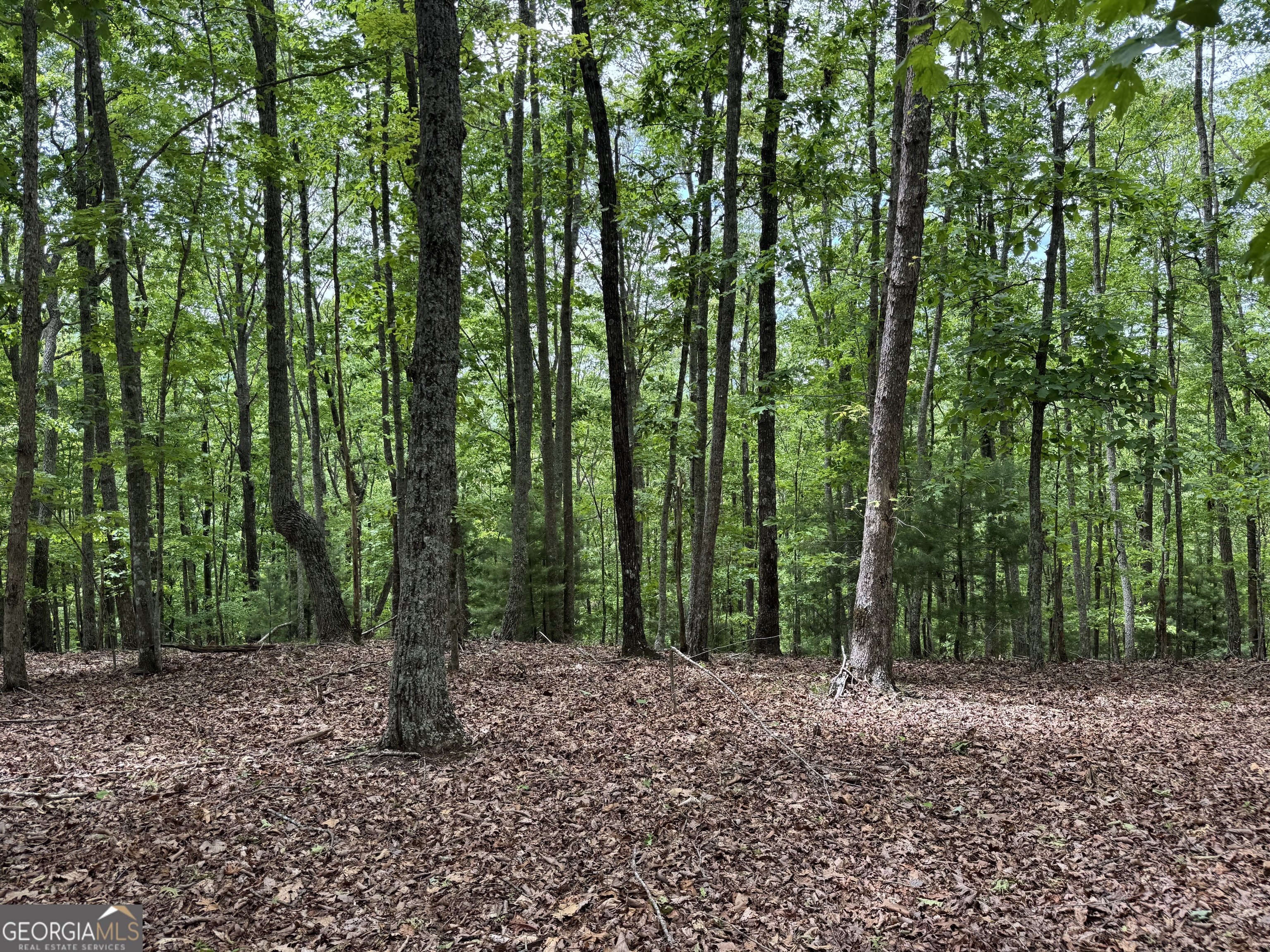 0 Royal Oaks Trail Young Harris GA 30582