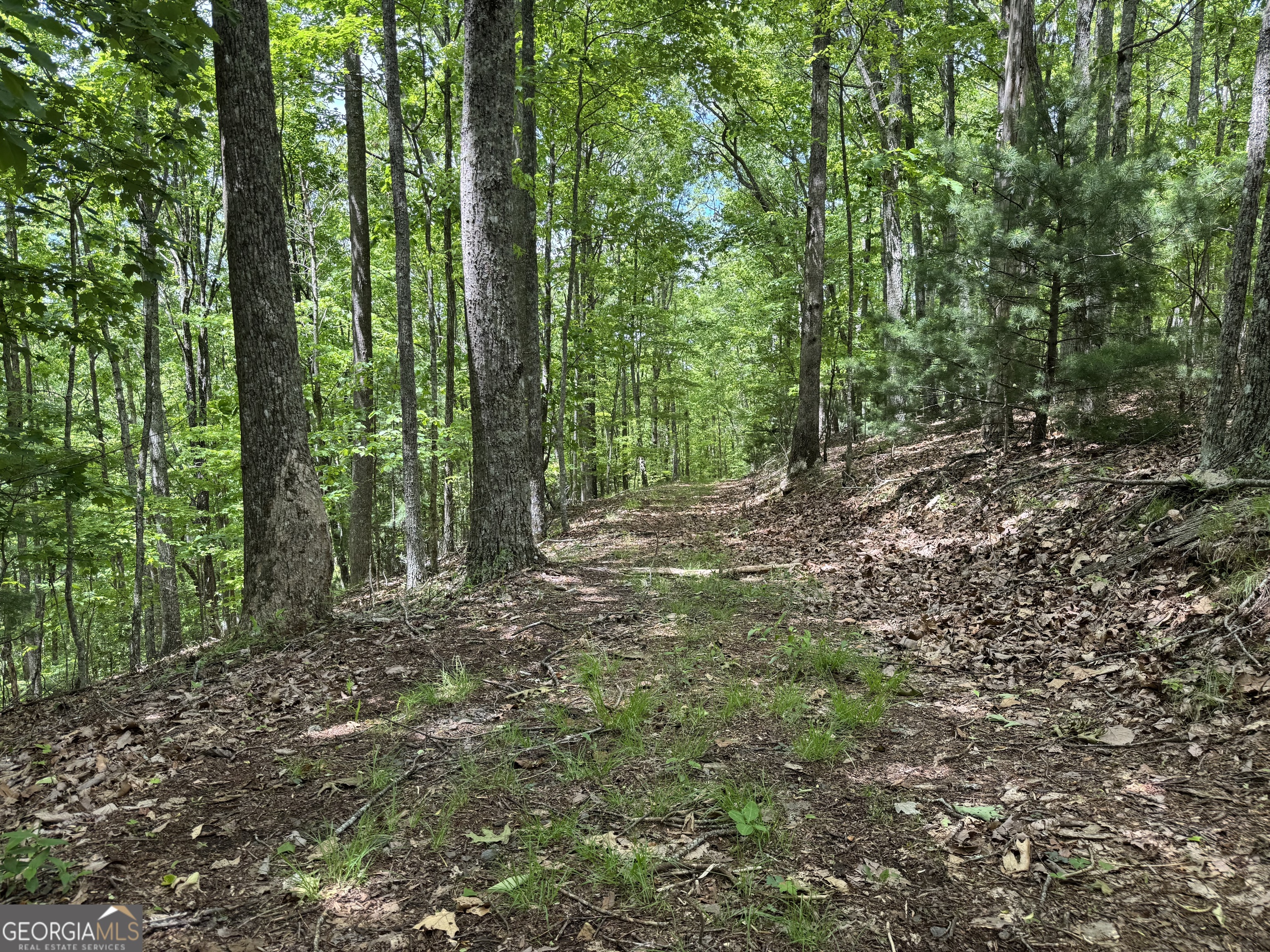 0 Royal Oaks Trail Young Harris GA 30582