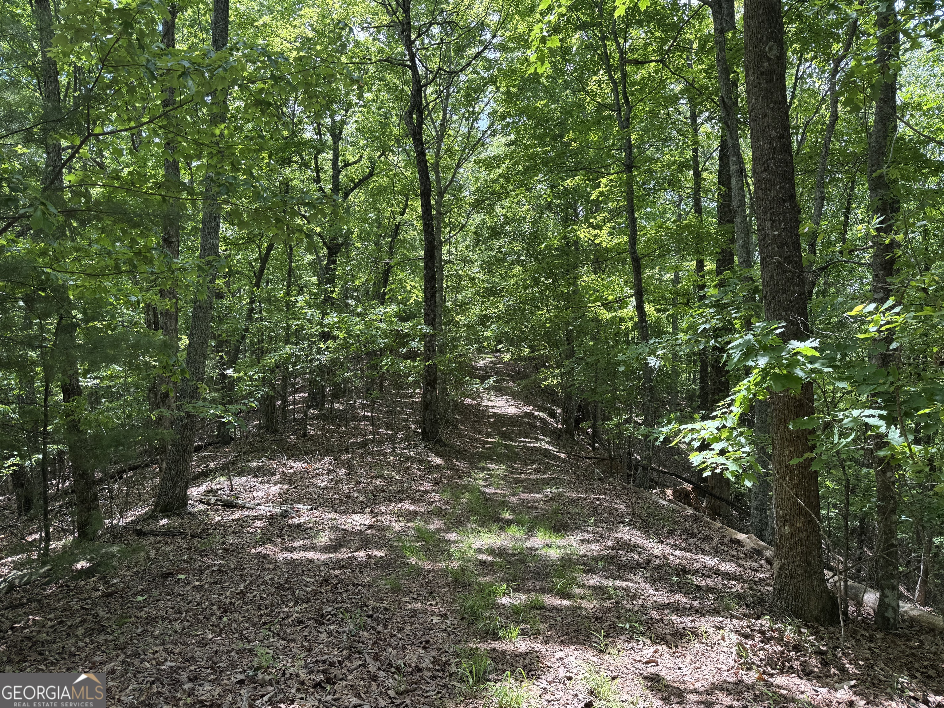 0 Royal Oaks Trail Young Harris GA 30582