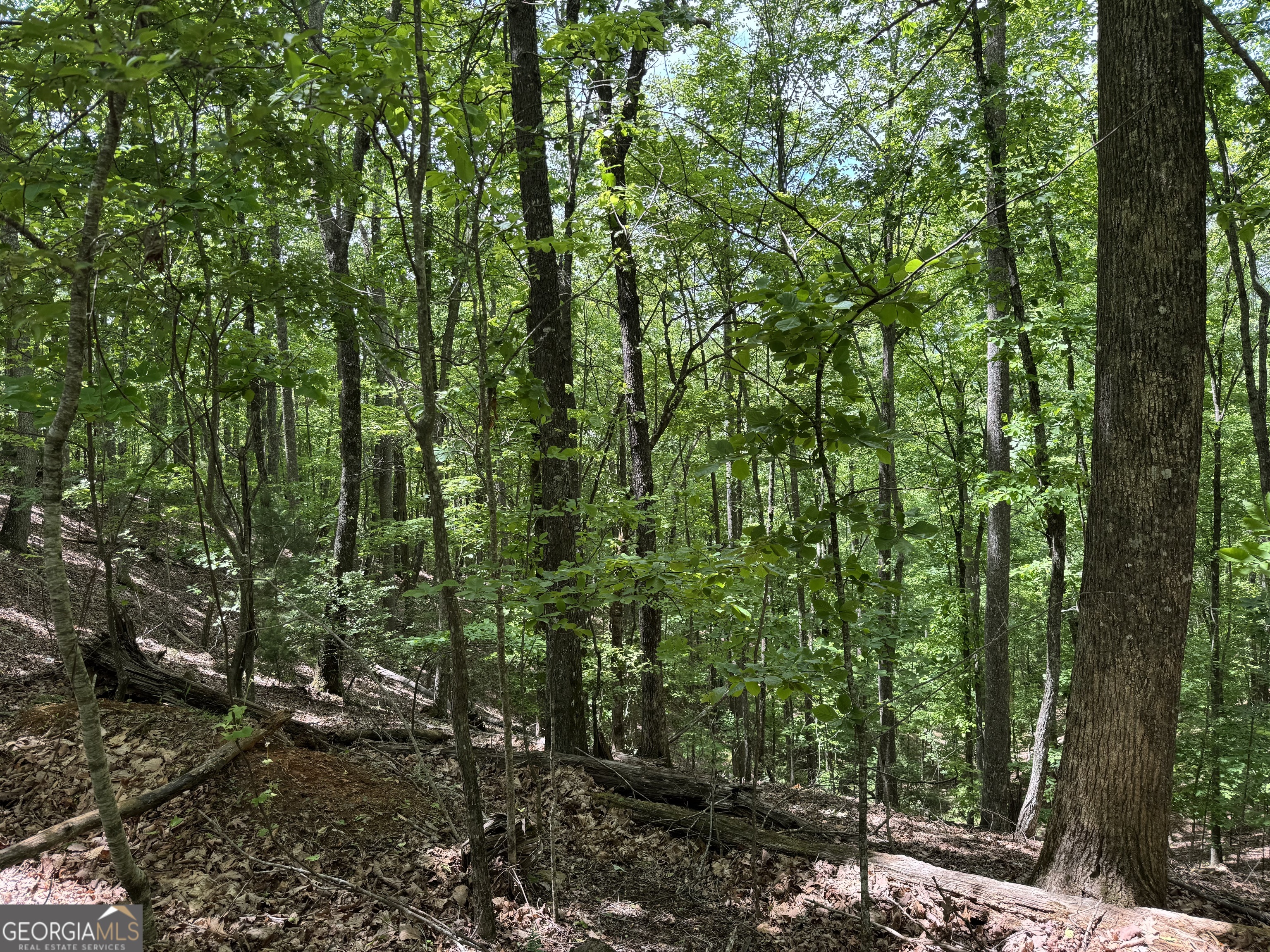 0 Royal Oaks Trail Young Harris GA 30582