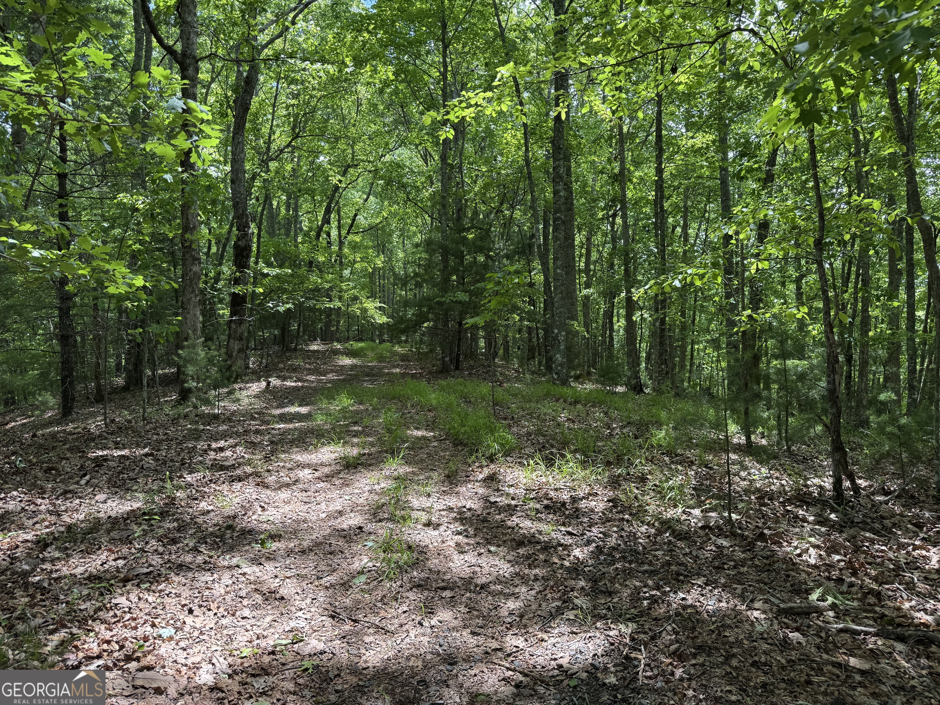 0 Royal Oaks Trail Young Harris GA 30582