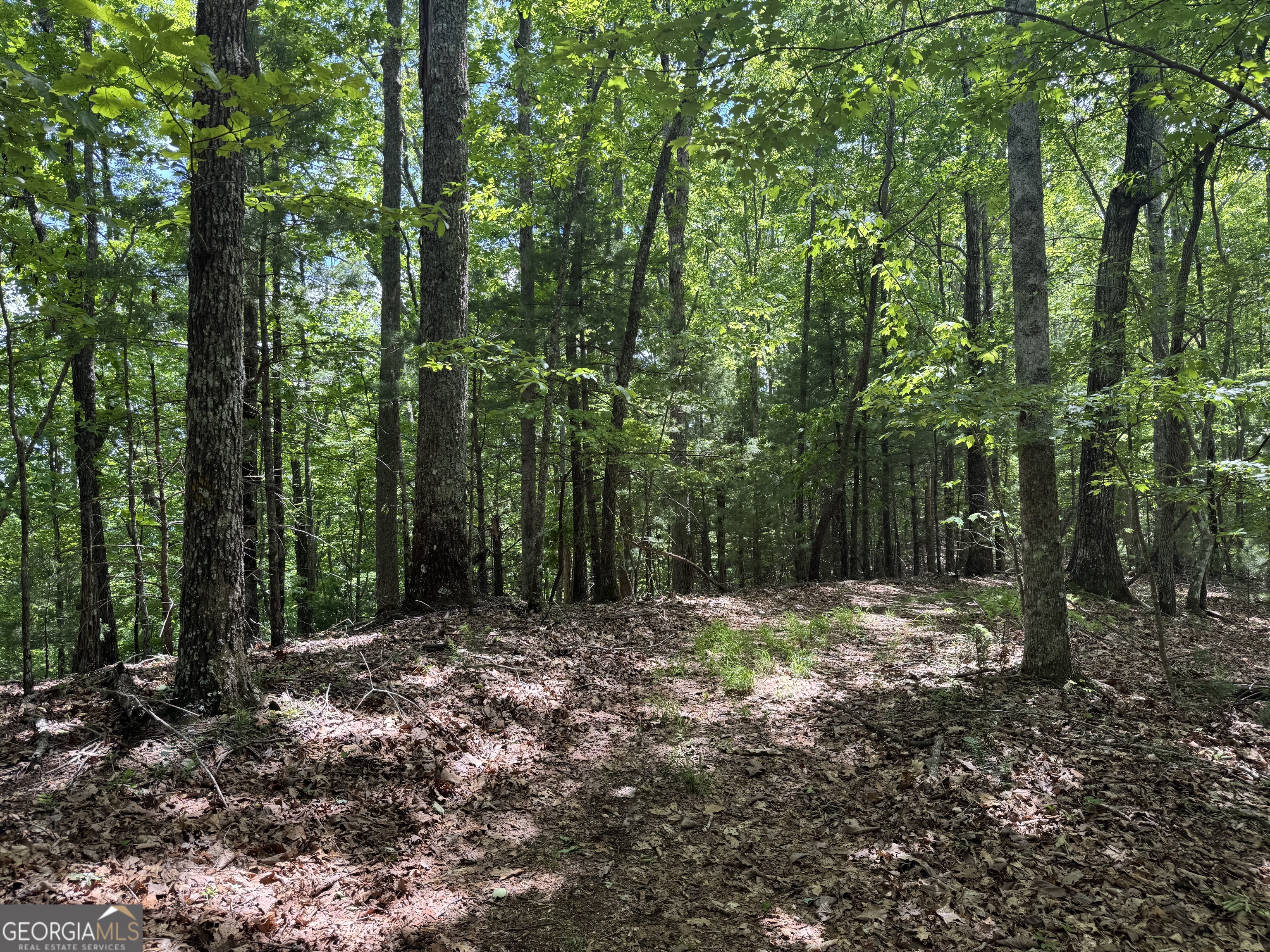 0 Royal Oaks Trail Young Harris GA 30582