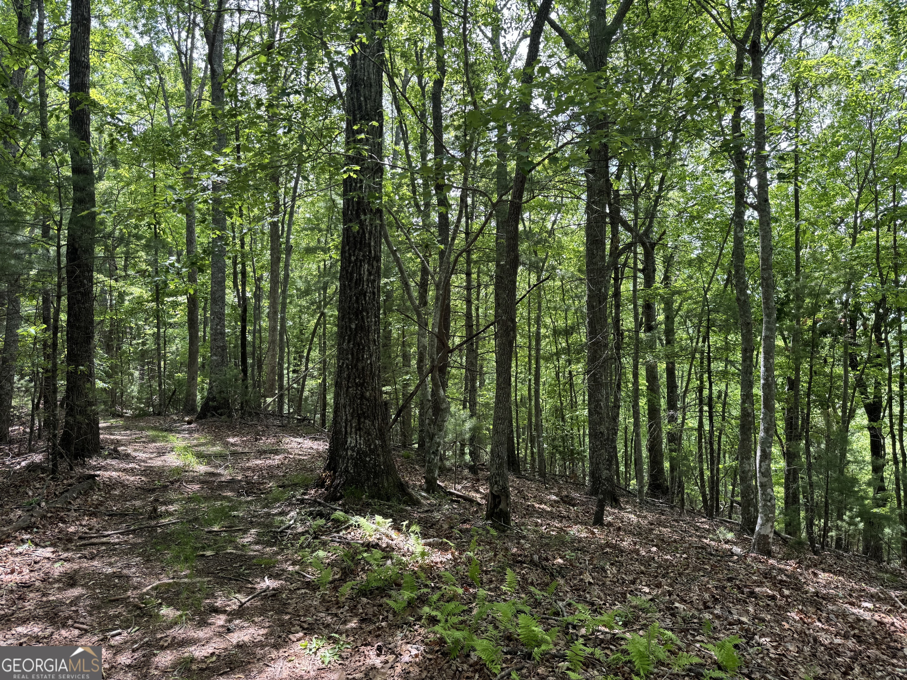 0 Royal Oaks Trail Young Harris GA 30582