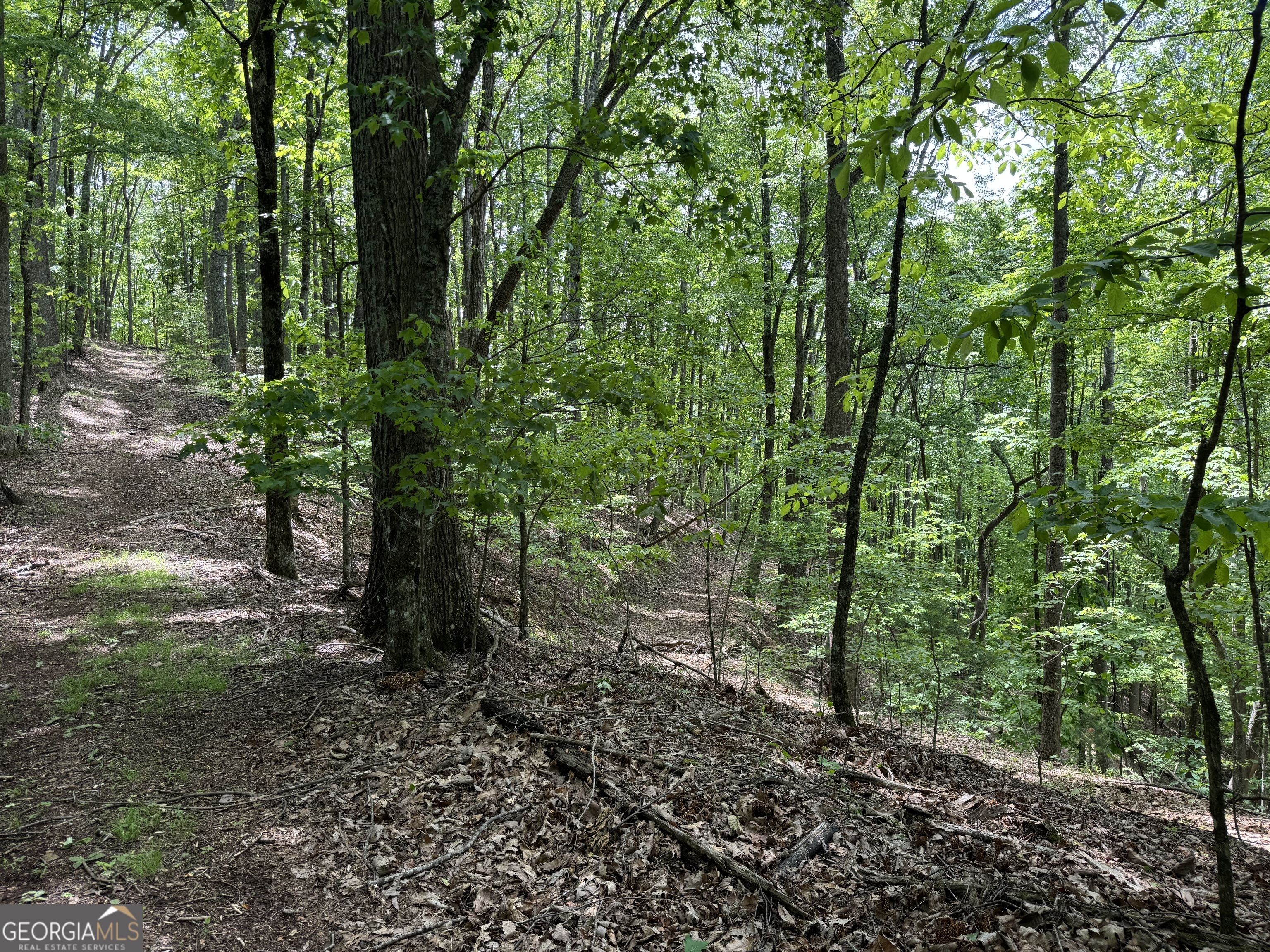 0 Royal Oaks Trail Young Harris GA 30582