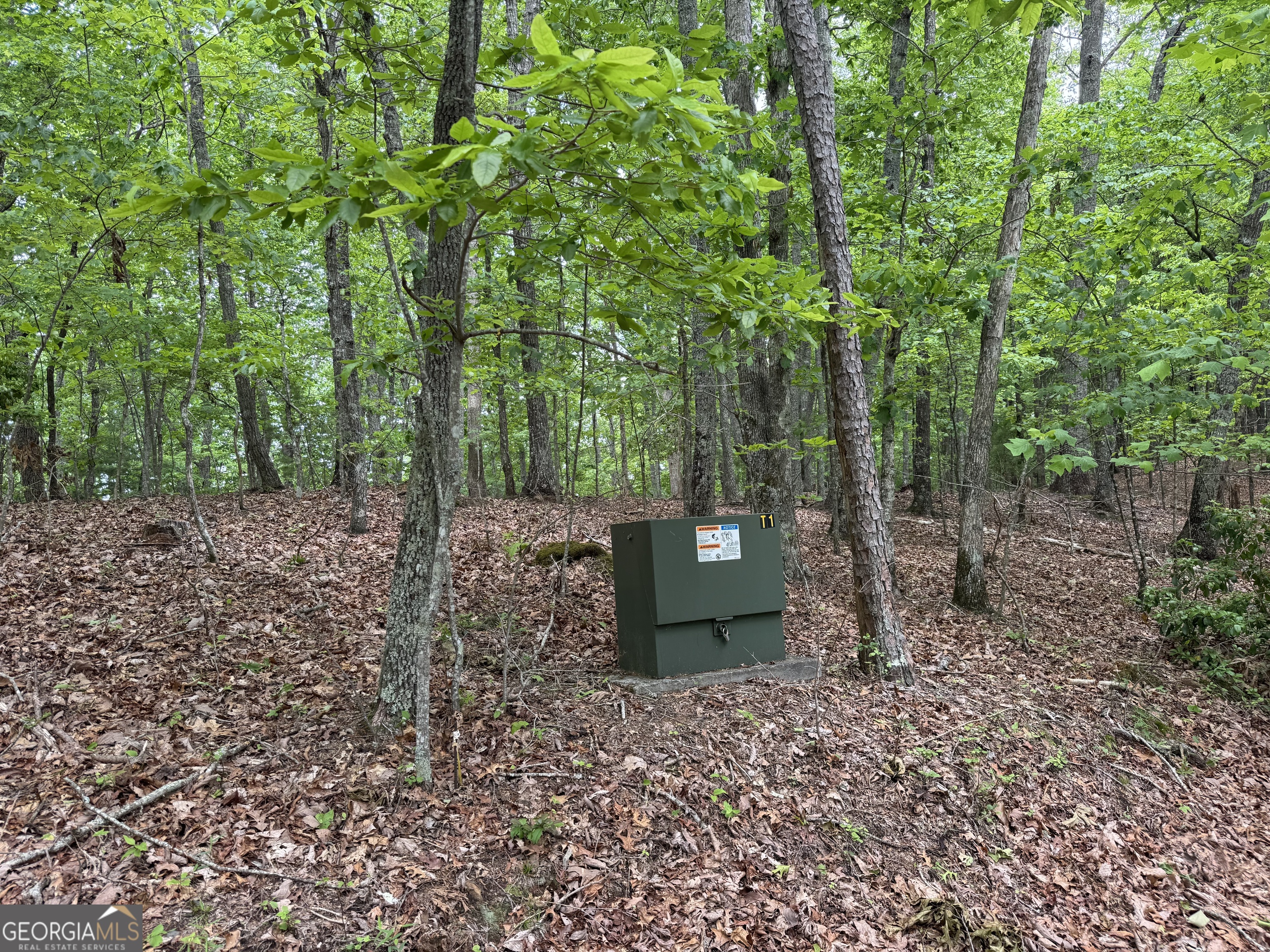 0 Royal Oaks Trail Young Harris GA 30582